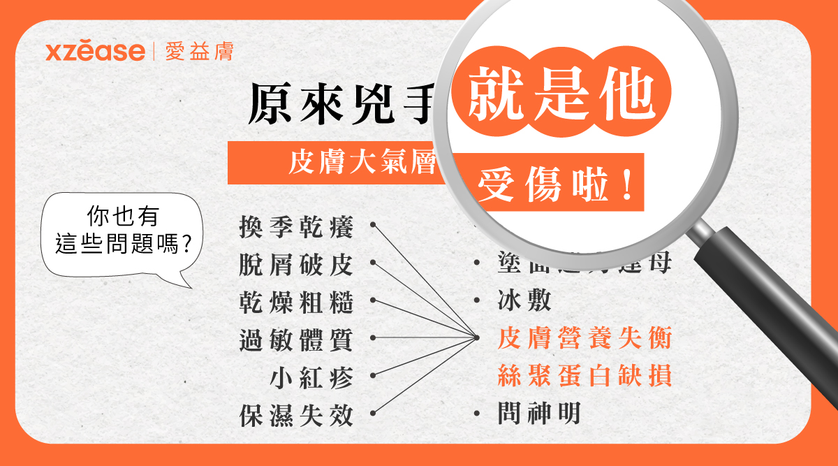 組胺酸：改善異位性皮膚炎的關鍵成分